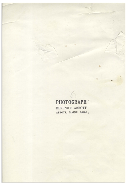 Berenice Abbott 15.125'' x 19.25'' Photograph of ''Leaf, Supersight''